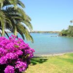 viajar a las islas baleares