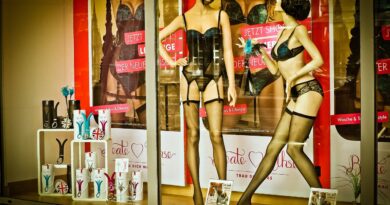 Evolución de los Sex shops en España